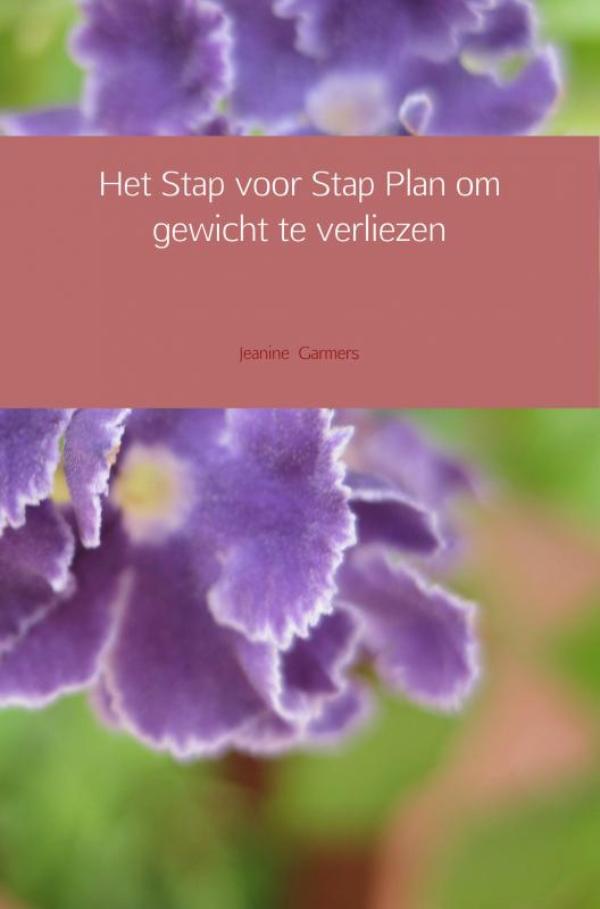 Omslag van Het Stap voor Stap Plan om gewicht te verliezen