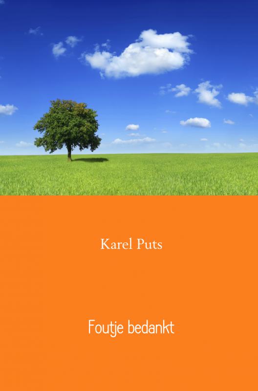 Omslag van Foutje bedankt