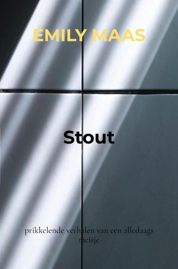 Omslag van Stout