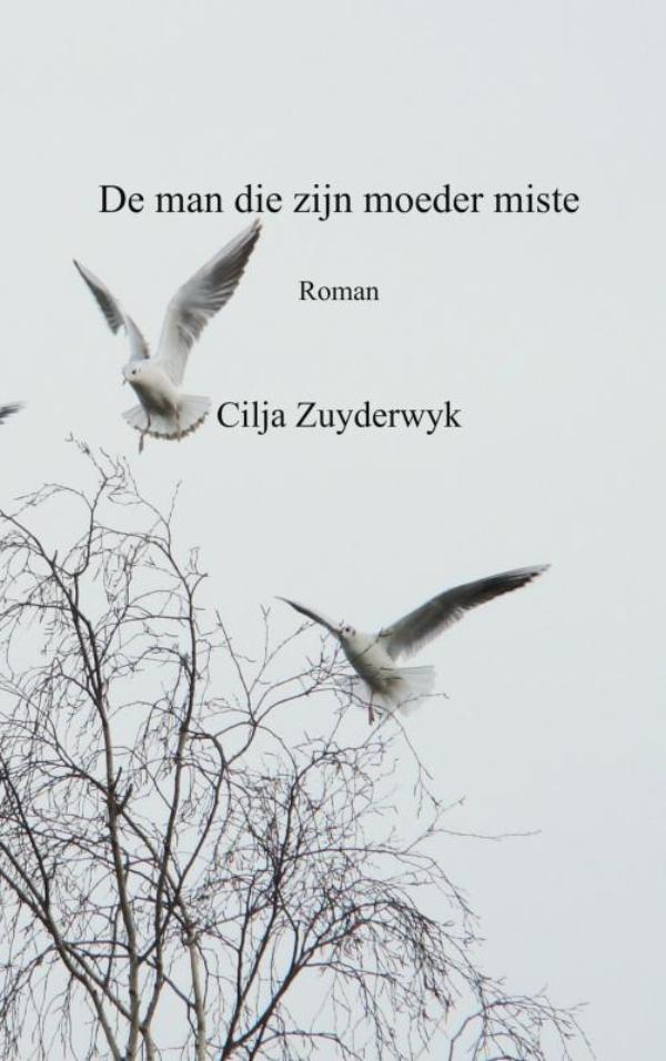 Omslag van De man die zijn moeder miste
