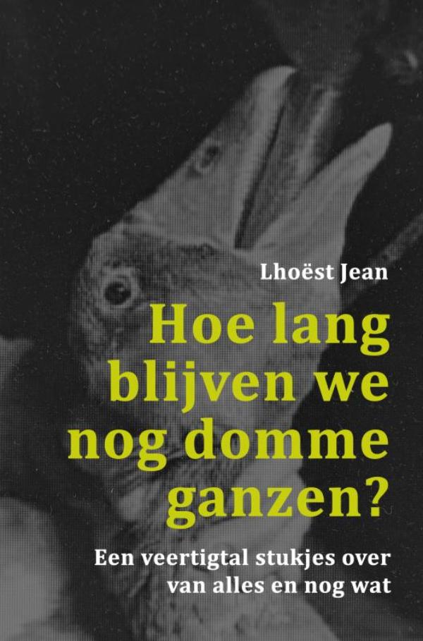 Omslag van Hoe lang blijven we nog domme ganzen?