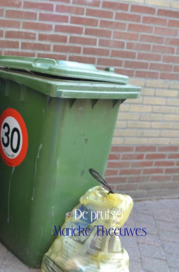 Omslag van De prutser