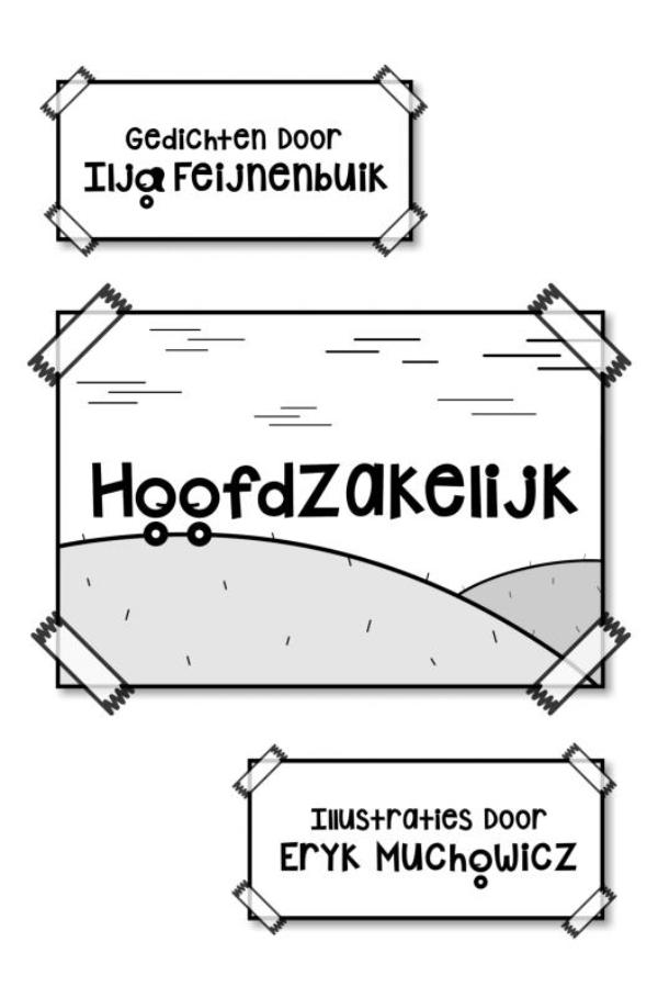 Omslag van Hoofdzakelijk