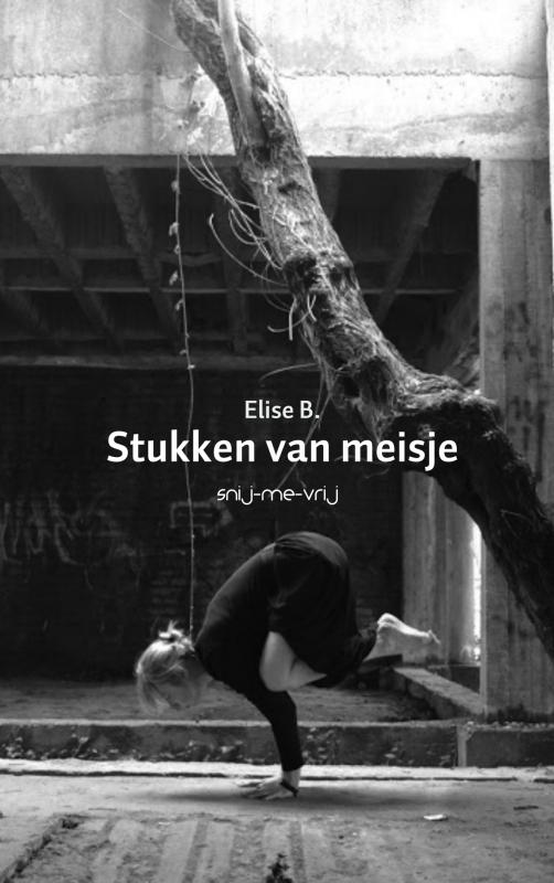 Omslag van Stukken van meisje