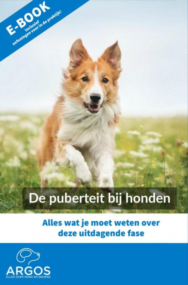 Omslag van De puberteit bij honden
