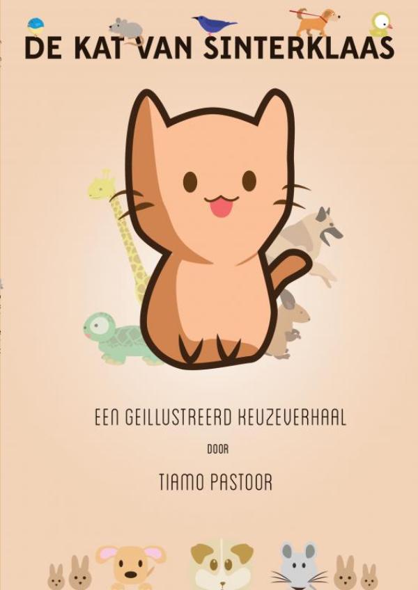 Omslag van De Kat van Sinterklaas