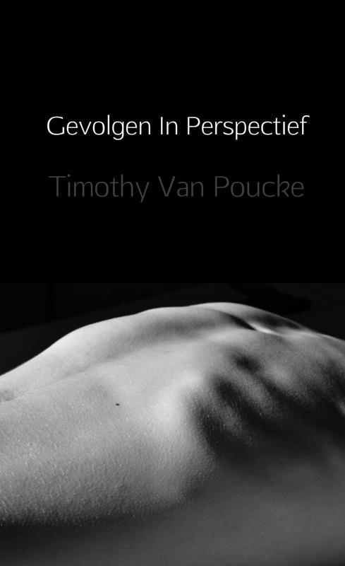 Omslag van Gevolgen In Perspectief