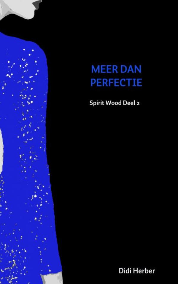 Omslag van MEER DAN PERFECTIE