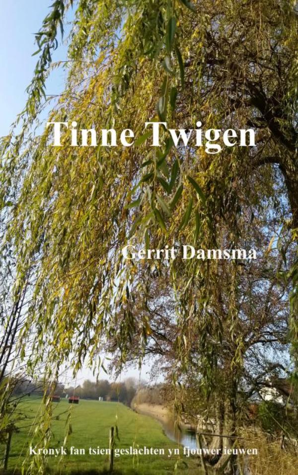 Omslag van Tinne Twigen