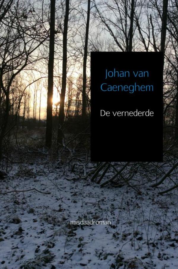 Omslag van De vernederde