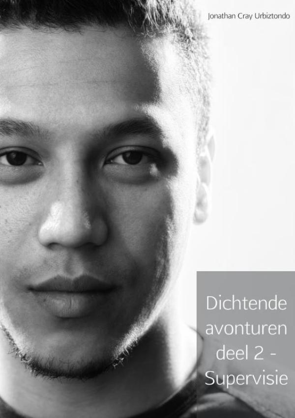 Omslag van Dichtende avonturen deel 2 - Supervisie