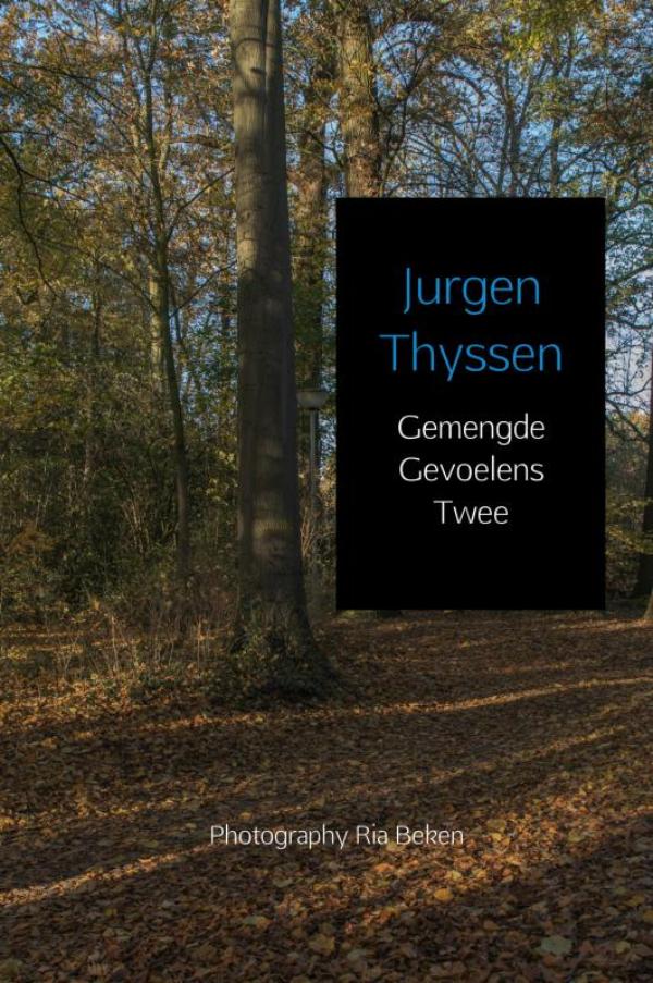 Omslag van Gemengde Gevoelens Twee