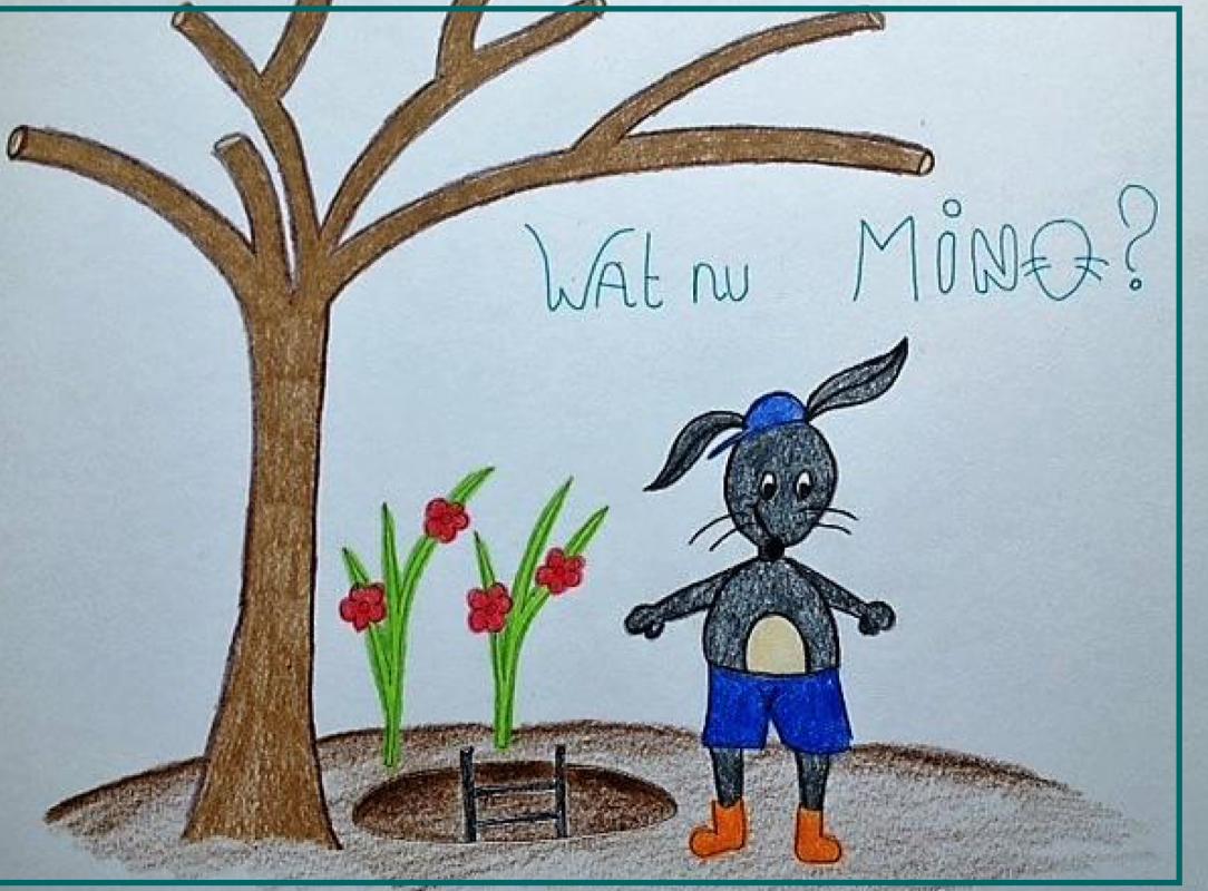 Omslag van Wat nu Mino?