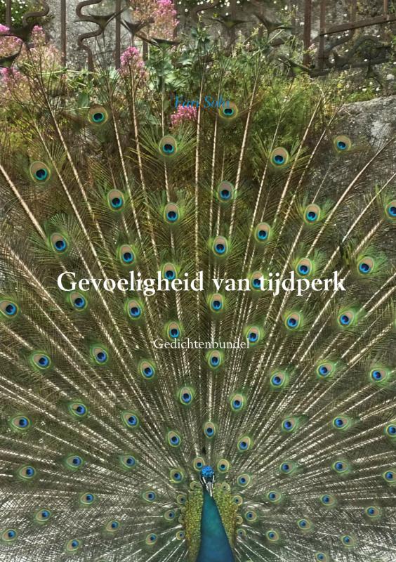 Omslag van Gevoeligheid van tijdperk
