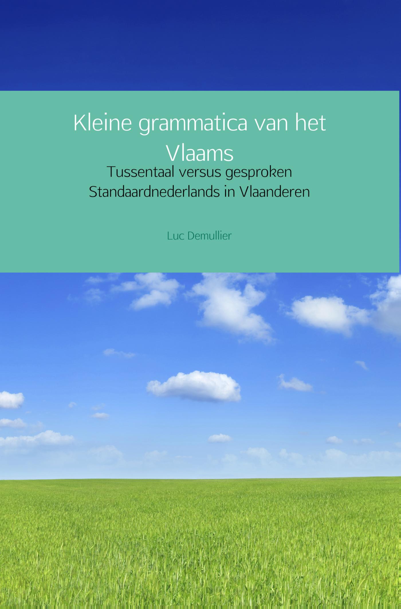 Omslag van Kleine grammatica van het Vlaams