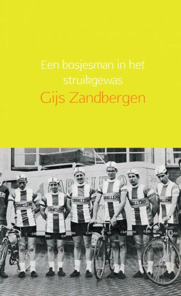 Omslag van Een bosjesman in het struikgewas