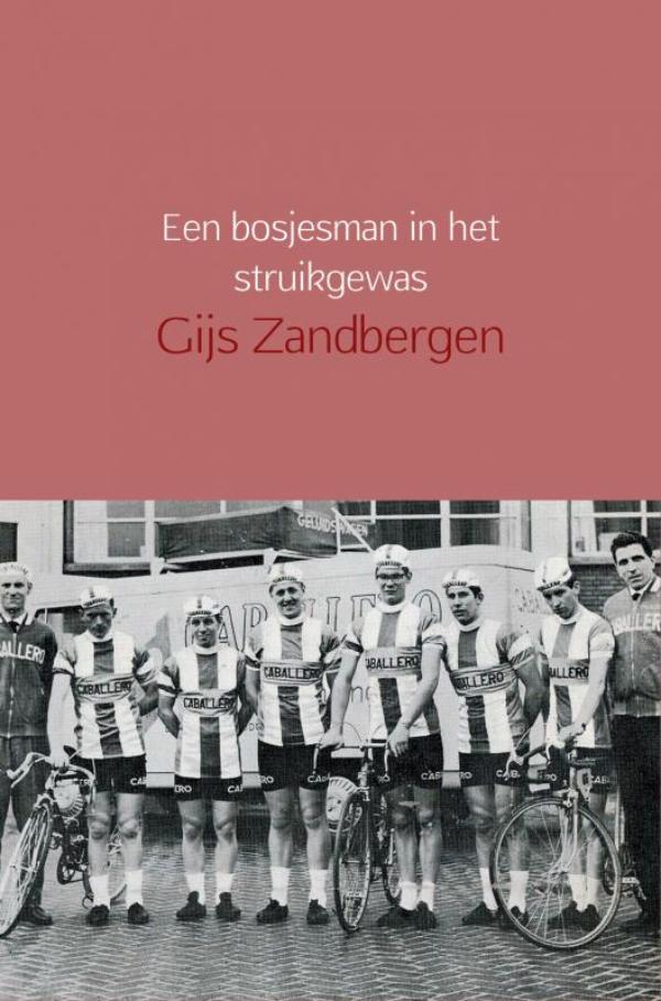 Omslag van Een bosjesman in het struikgewas