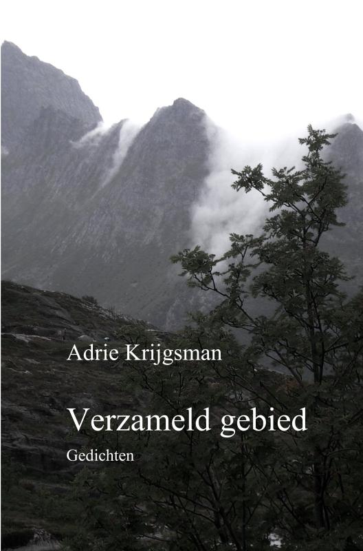 Omslag van Verzameld gebied