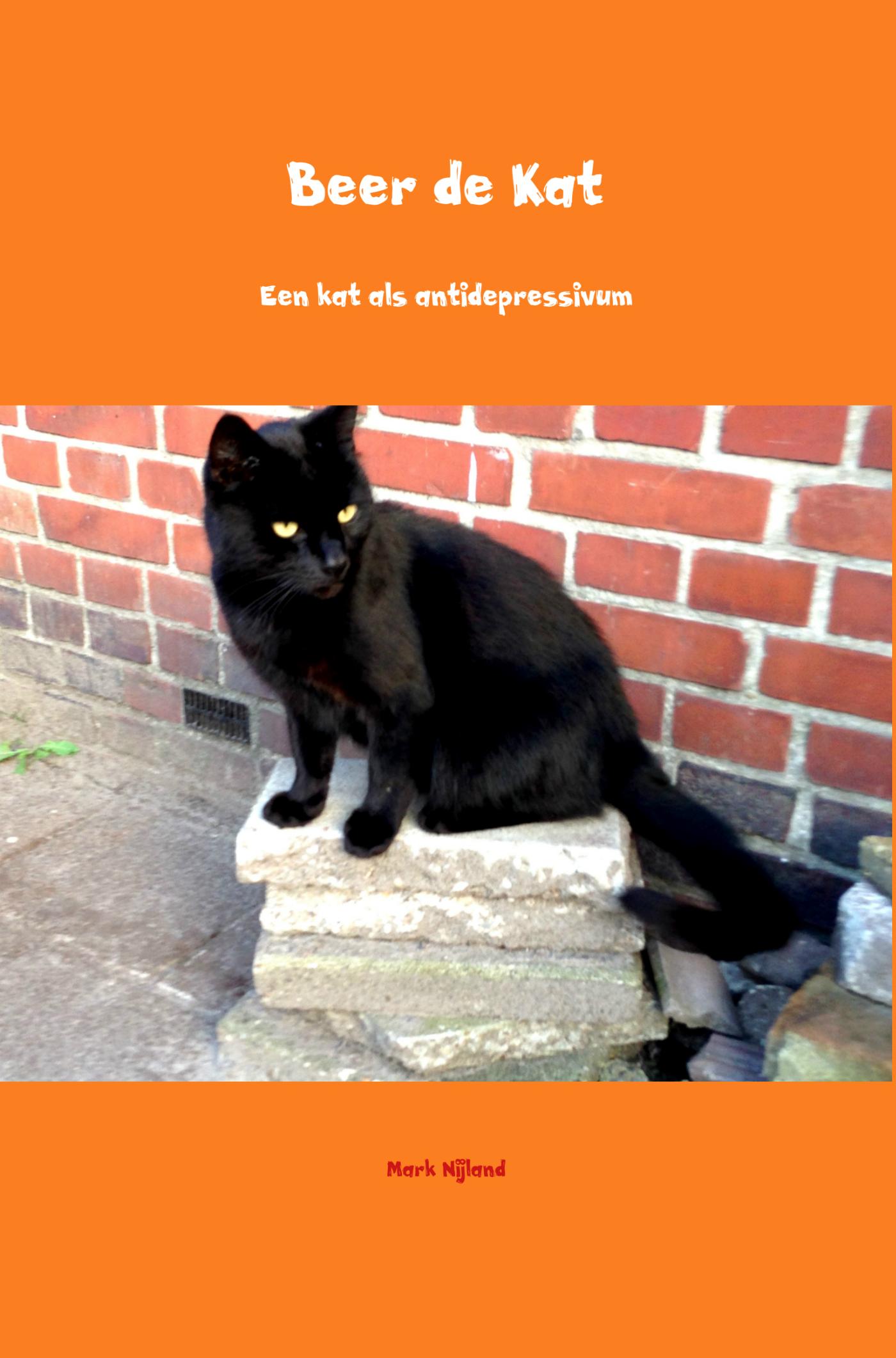 Omslag van Beer de Kat