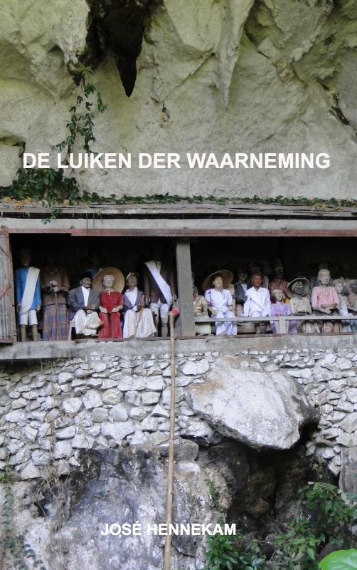 Omslag van De Luiken der Waarneming