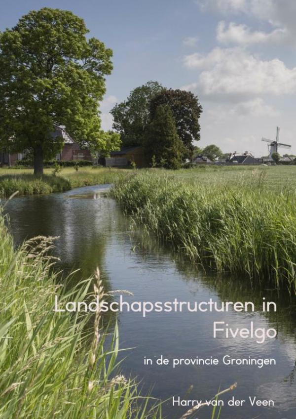 Omslag van Landschapsstructuren in Fivelgo