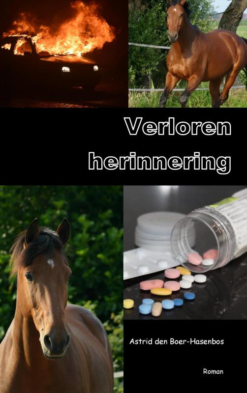 Omslag van Verloren herinnering