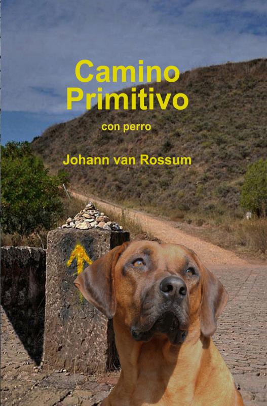 Omslag van Camino Primitivo
