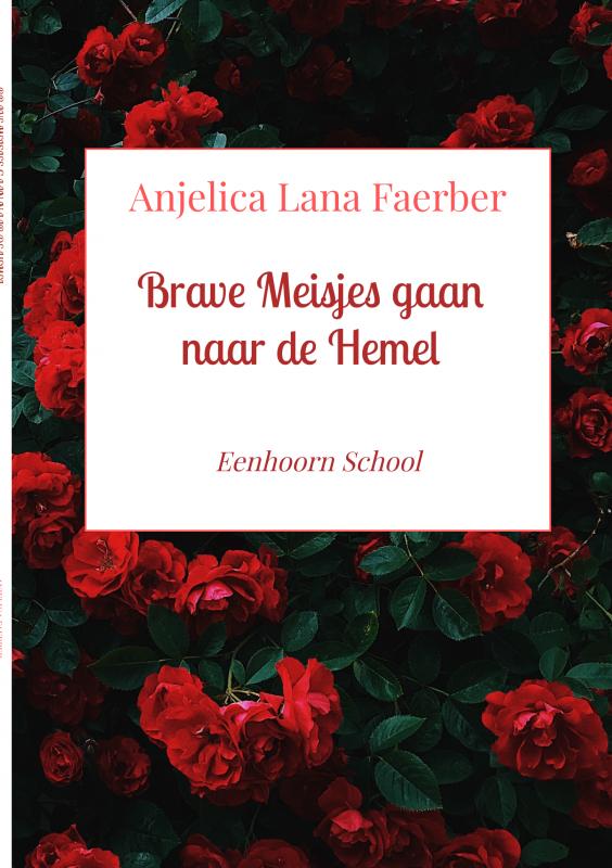 Omslag van Brave Meisjes gaan naar de Hemel