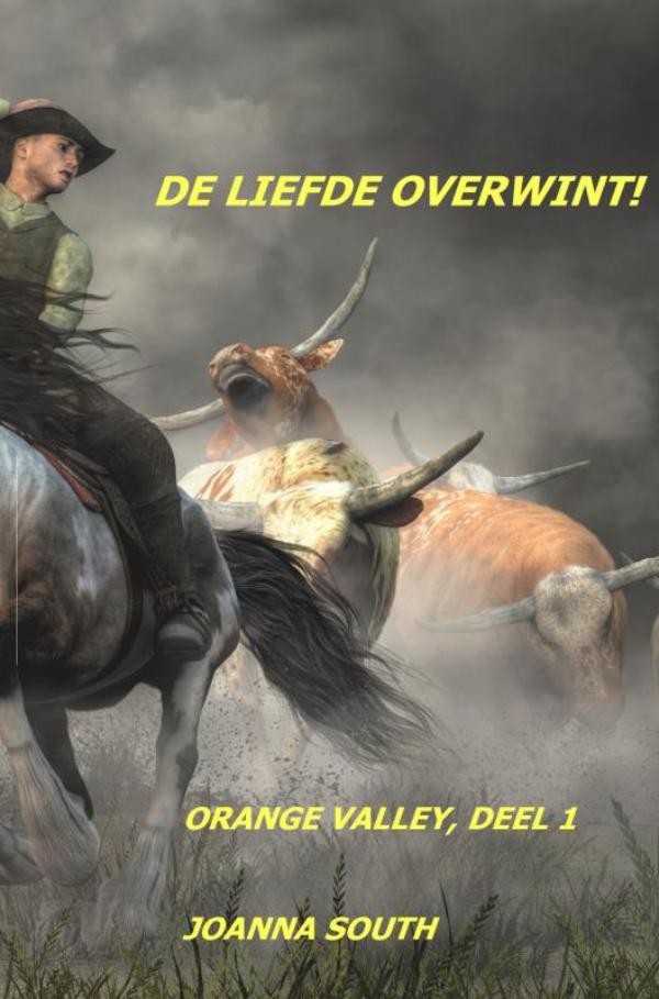 Omslag van De liefde overwint!