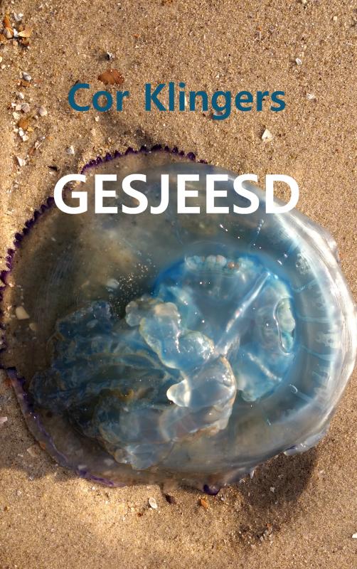Omslag van GESJEESD