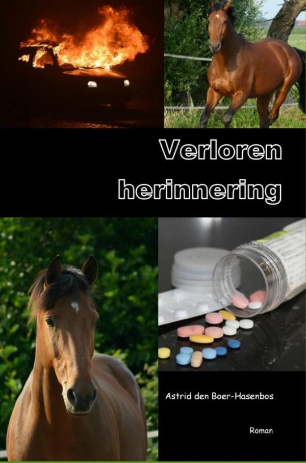 Omslag van Verloren herinnering