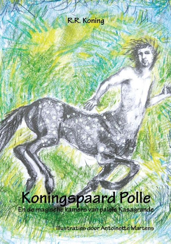 Omslag van Koningspaard Polle