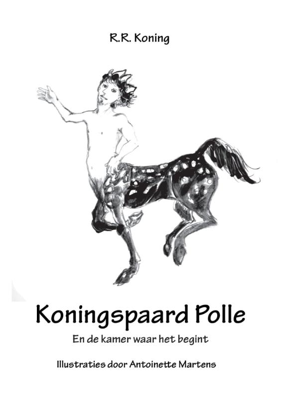 Omslag van Koningspaard Polle