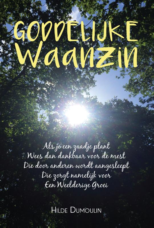 Omslag van Goddelijke Waanzin