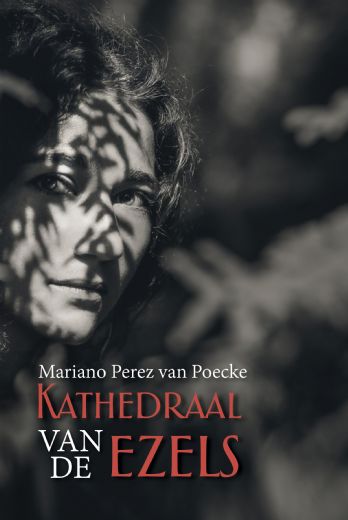 Omslag van Kathedraal van de ezels