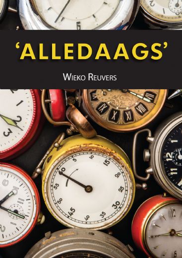 Omslag van Alledaags