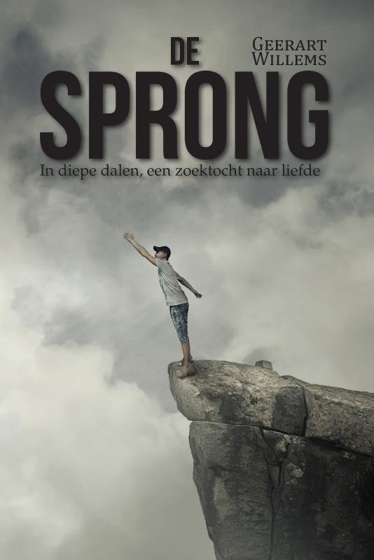 Omslag van De Sprong