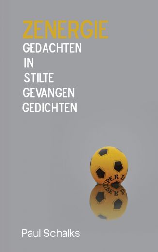 Omslag van Zenergie