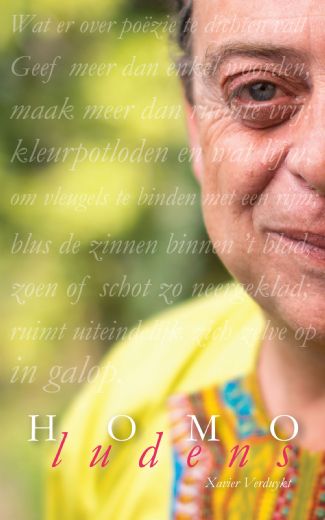 Omslag van Homo Ludens
