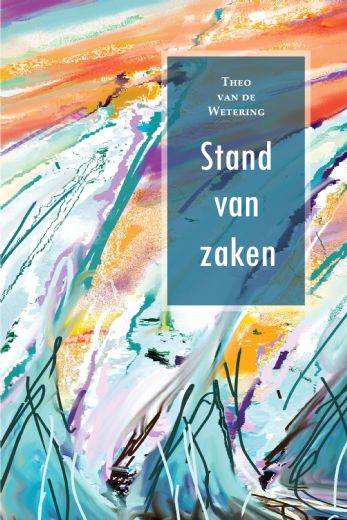 Omslag van Stand van zaken