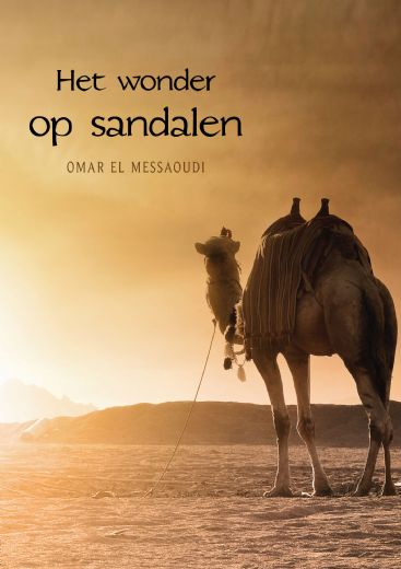 Omslag van Het wonder op sandalen