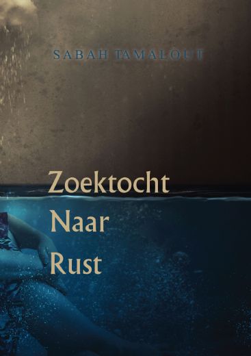Omslag van Zoektocht naar rust