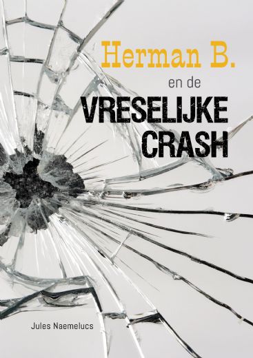 Omslag van Herman B. en de vreselijke crash