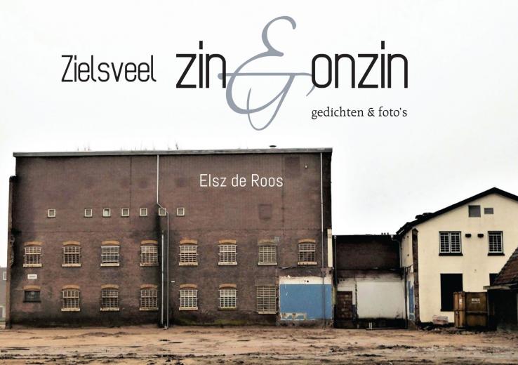 Omslag van Zielsveel zin & onzin