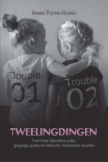 Omslag van Tweelingdingen