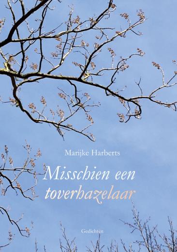 Omslag van Misschien een toverhazelaar