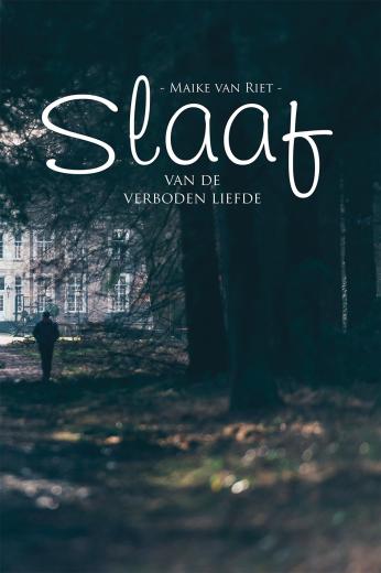 Omslag van Slaaf van de verboden liefde