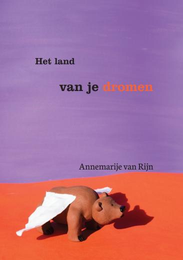 Omslag van Het land van je dromen