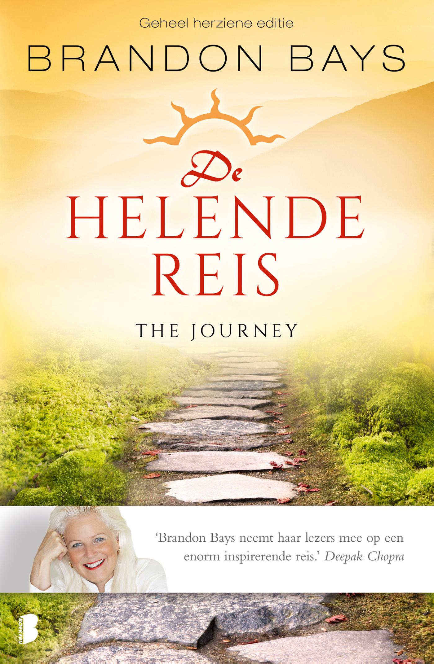 Omslag van De helende reis