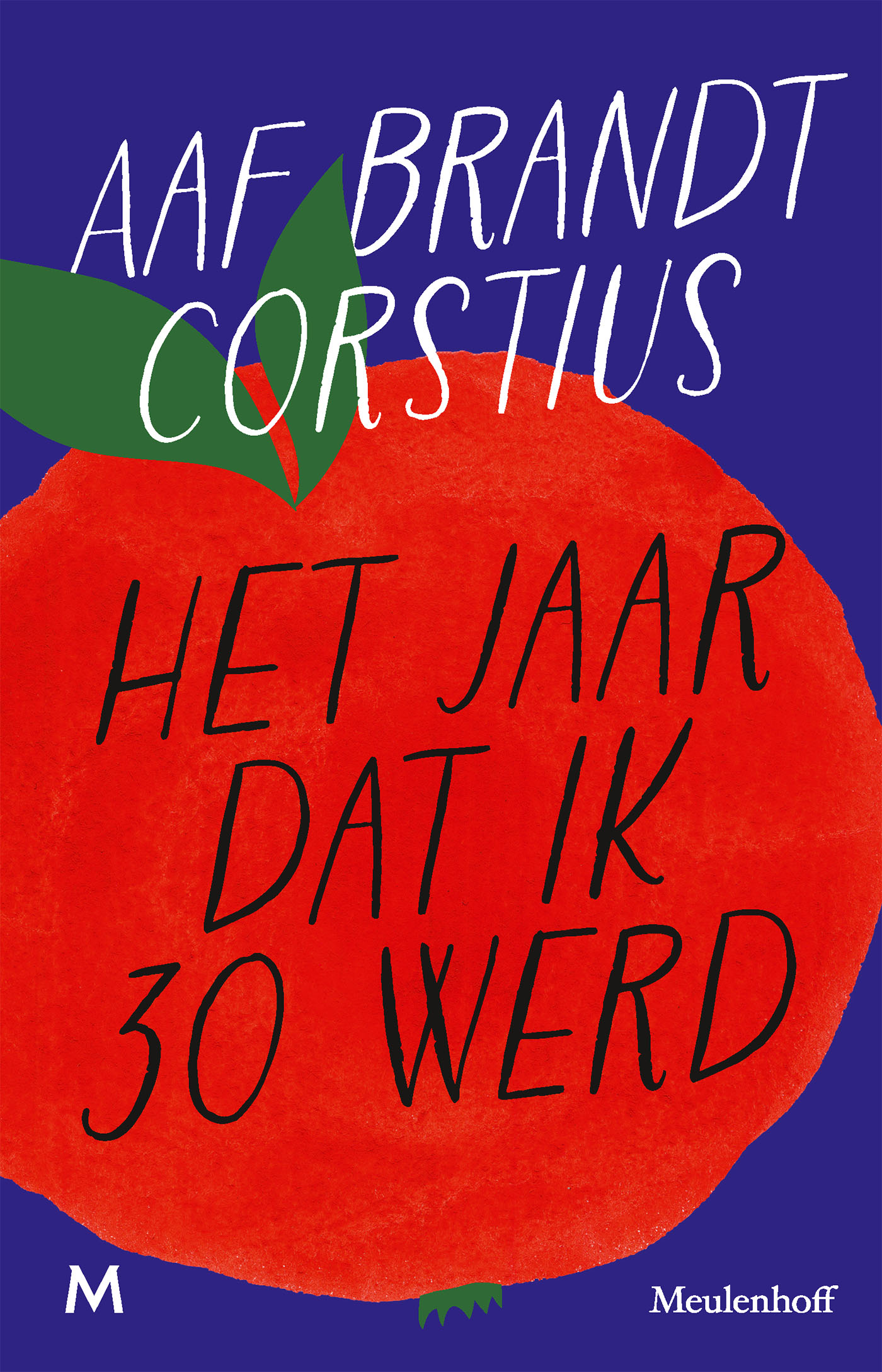 Omslag van Het jaar dat ik 30 werd